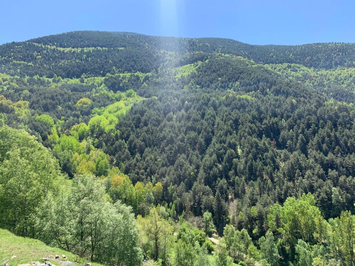Apartamento Siscaro - Peu Del Riu 310 - Vall D'Incles - Soldeu Exterior foto